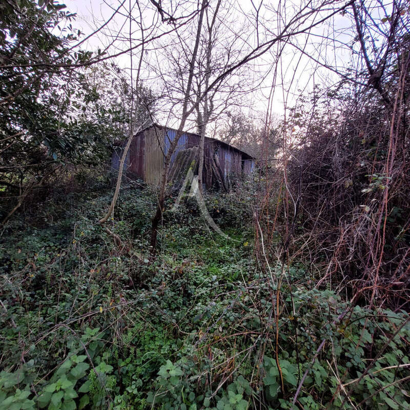 Terrain à LE CHAMP-SAINT-PERE