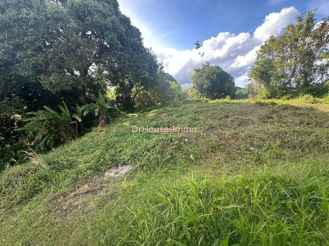 Terrain à GROS-MORNE