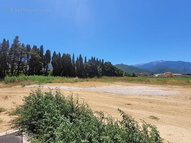 Terrain à ILLE-SUR-TET