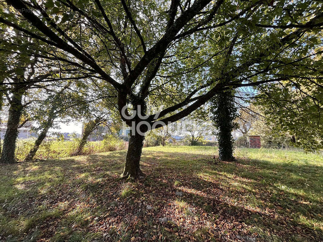 Maison à GRENADE-SUR-L&#039;ADOUR