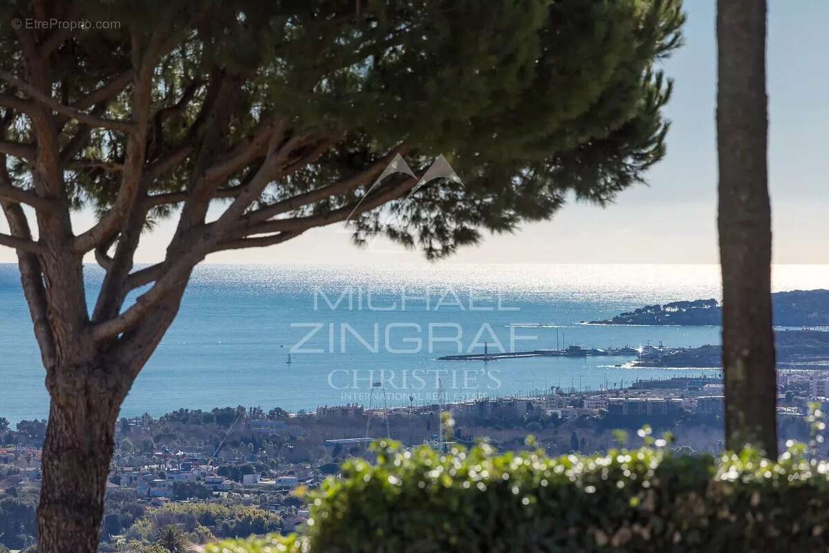 Maison à VILLENEUVE-LOUBET