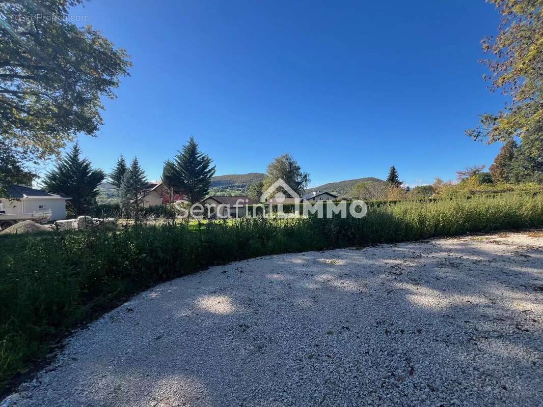 Terrain à VILLY-LE-PELLOUX