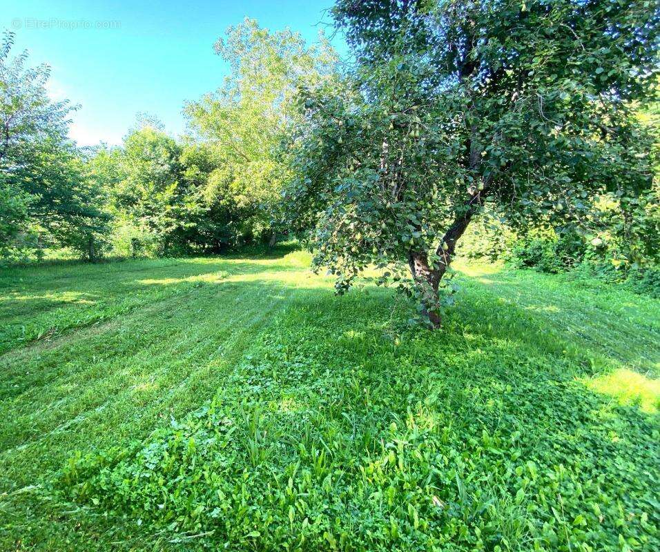 Maison à L'ISLE-JOURDAIN
