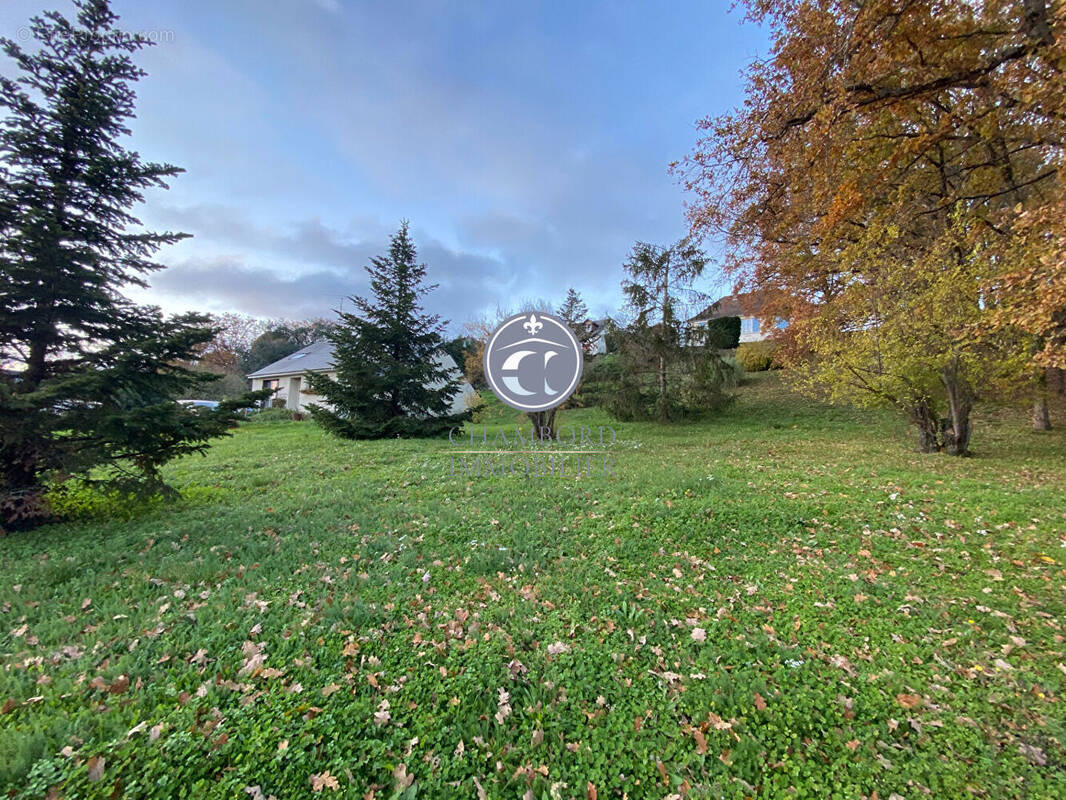 Terrain à CHOUZY-SUR-CISSE