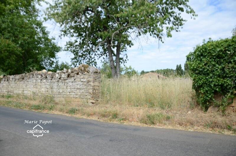 Terrain à CELLES-SUR-BELLE