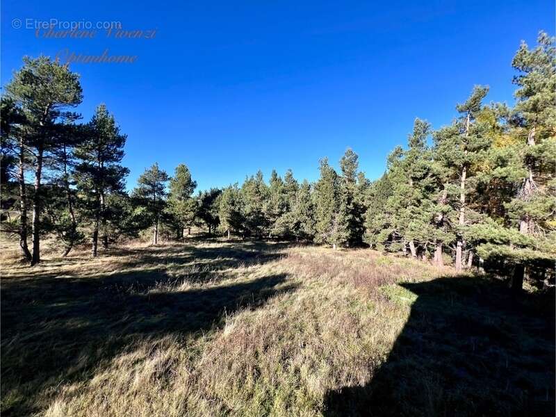 Maison à SAINT-PIERRE-DELS-FORCATS