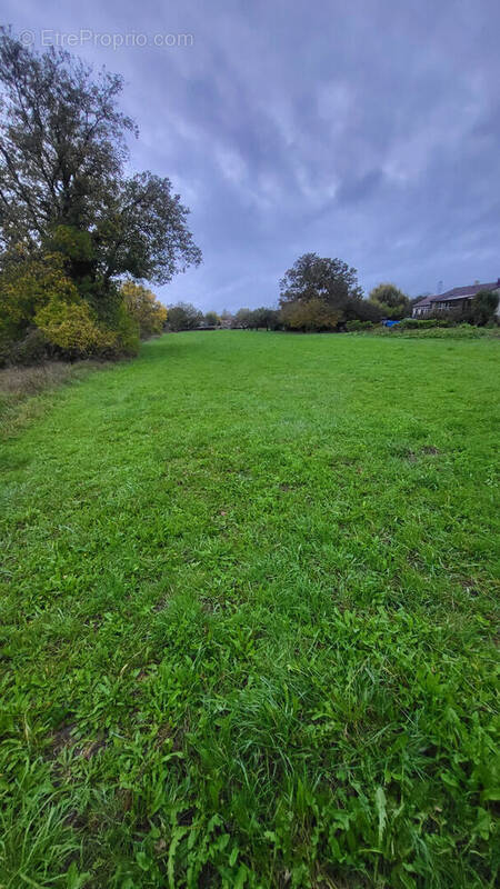 Terrain à NEUVILLE-SUR-ORNAIN