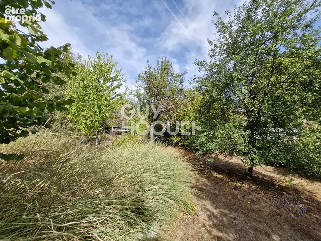 Maison avec grand jardin - Dormelles - photo 18