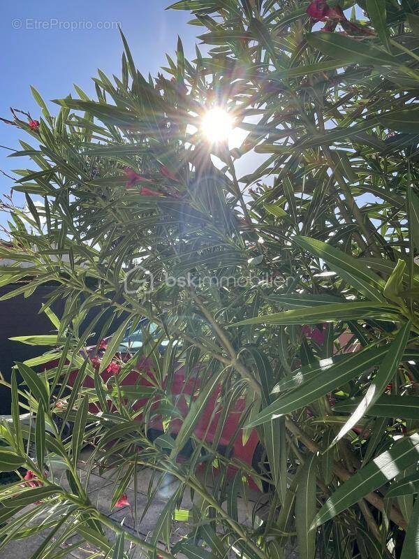 Maison à LES CLAYES-SOUS-BOIS