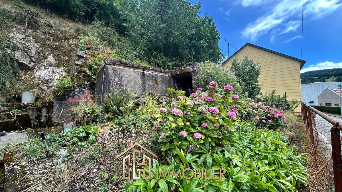 Maison à SAINTE-CROIX-AUX-MINES