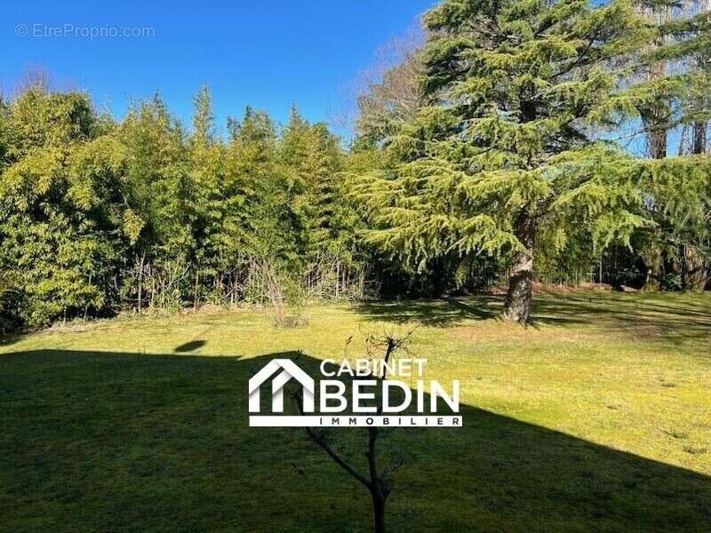 Terrain à BISCARROSSE