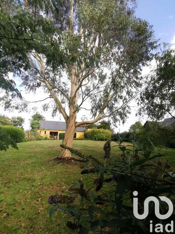 Photo 3 - Maison à PLOURHAN