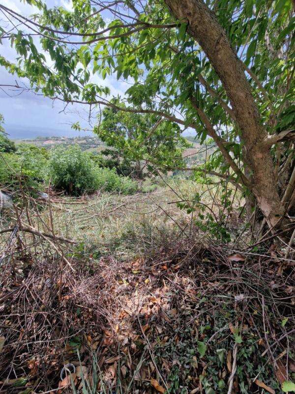 Terrain constructible - photo 6