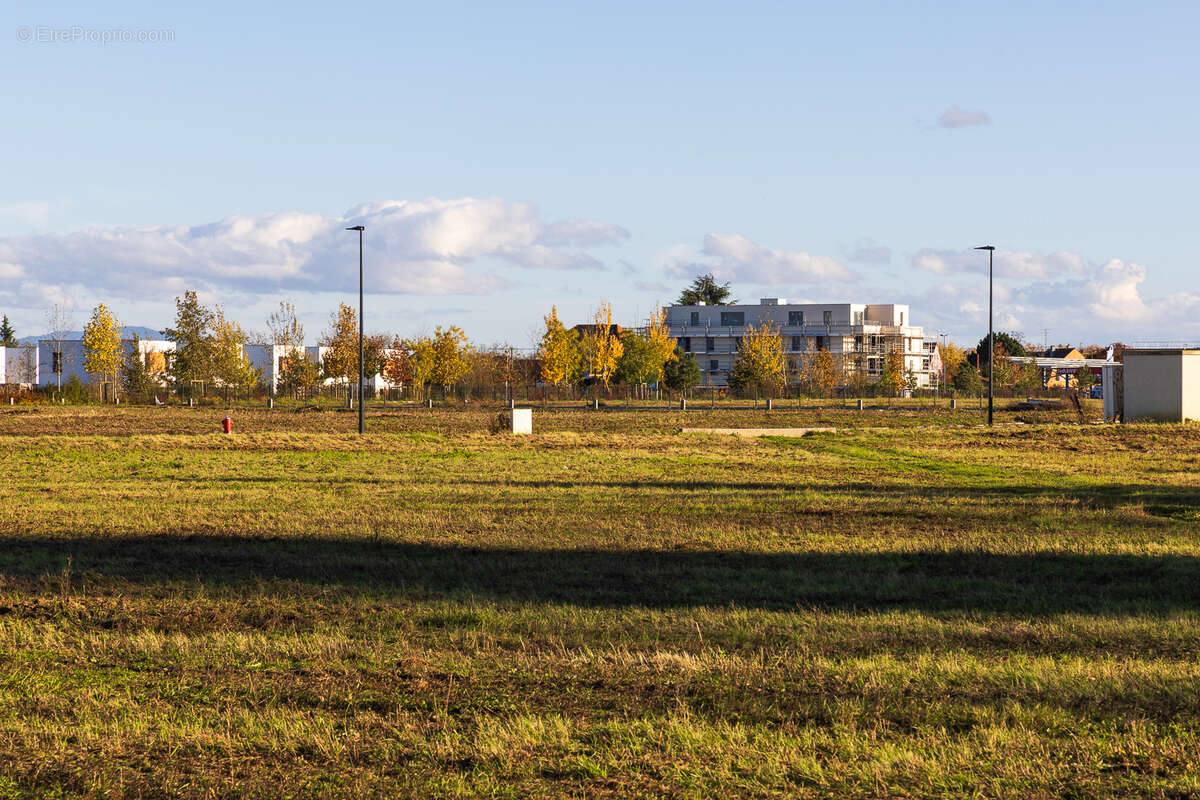 Terrain à ENSISHEIM