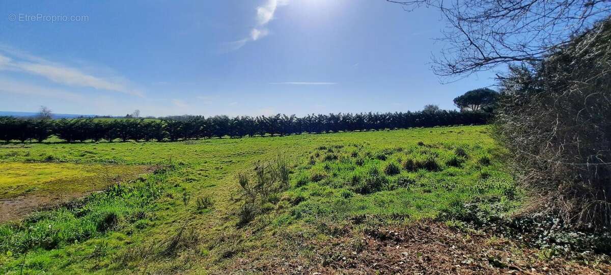 Photo 7 - Terrain à CHABRIGNAC