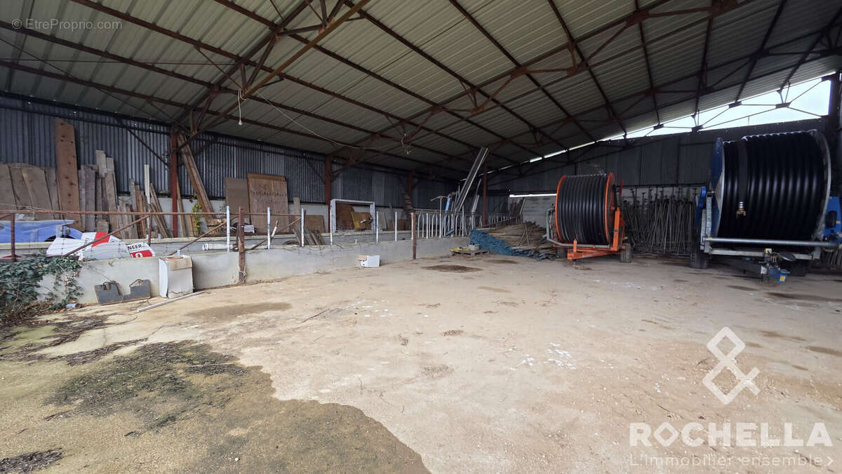 Appartement à PAILLE