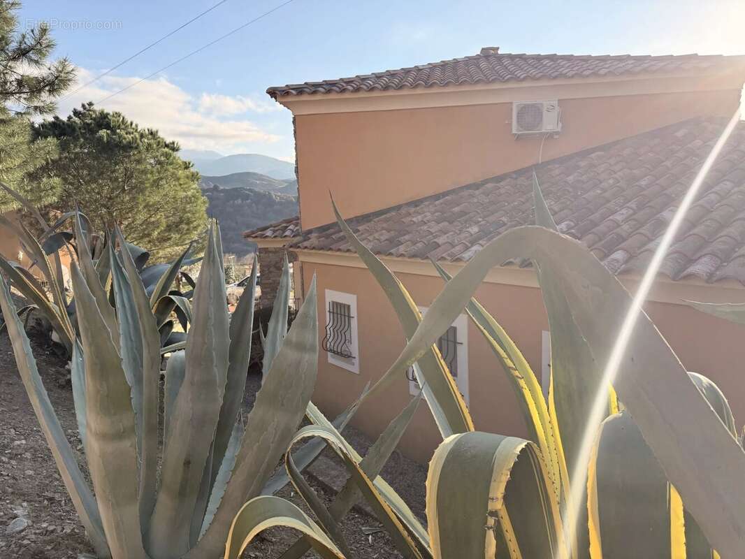 Maison à OLMETA-DI-TUDA