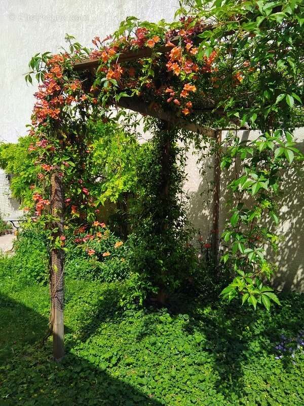 Appartement à MONTREUIL