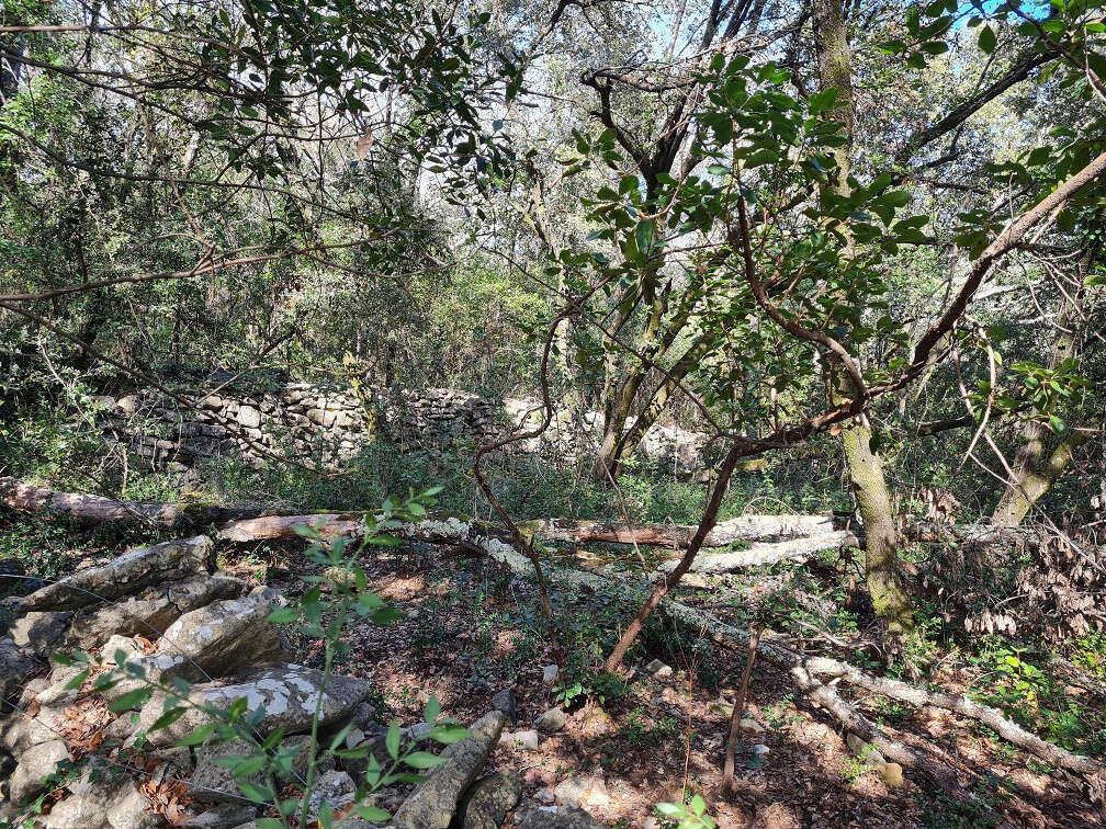 Maison à DURFORT-ET-SAINT-MARTIN-DE-SOSSENAC