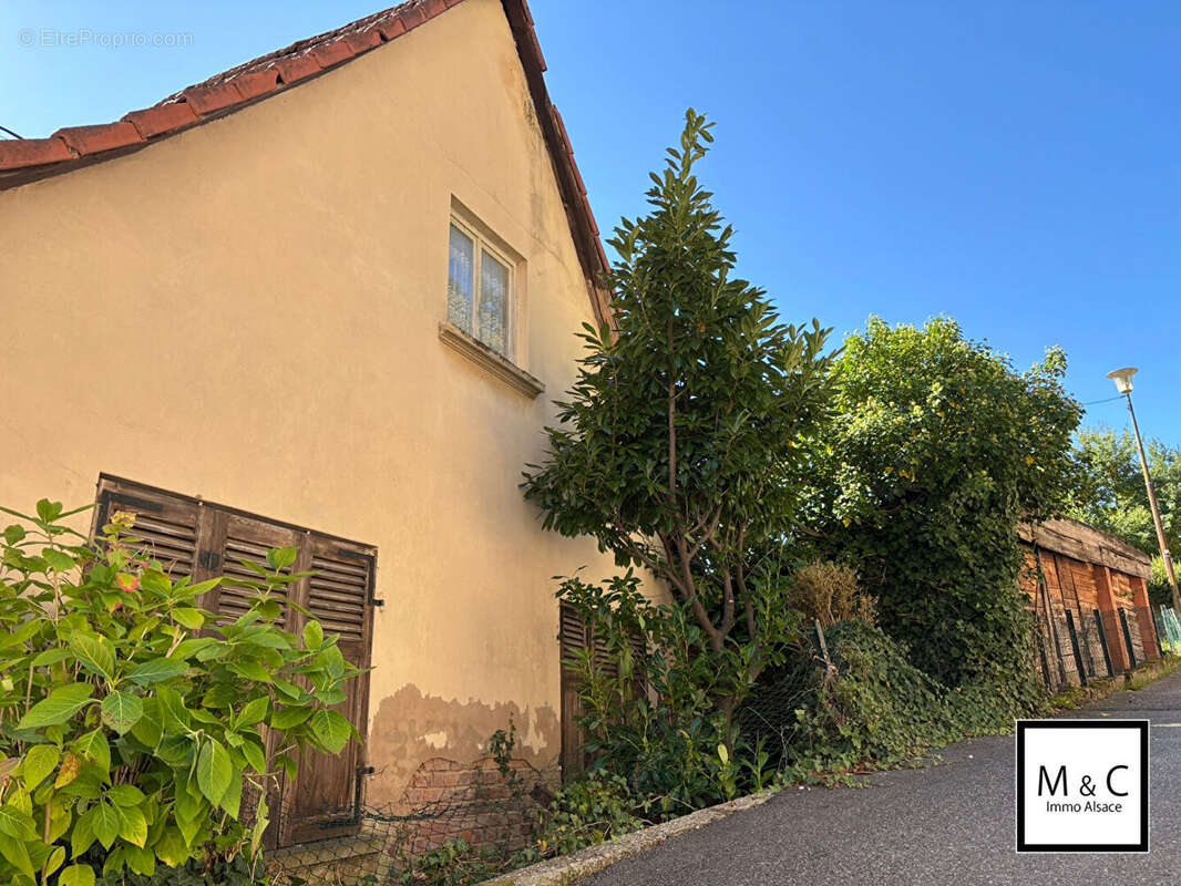 Maison à WISSEMBOURG