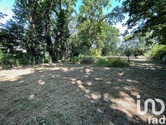 Photo 3 - Terrain à RIEC-SUR-BELON