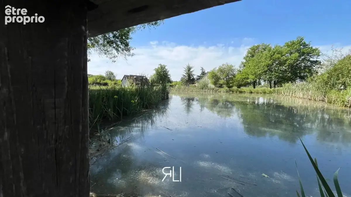 Propriété d'exception avec étang - photo 3