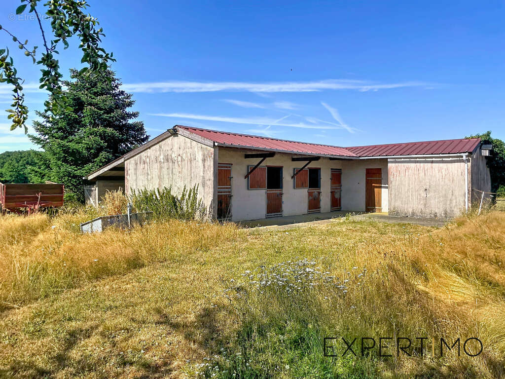 28270 - la manceliere - propriete equestre - maison 155 m2 - 4 chambres - 2,1 ha de terrain - photo 8