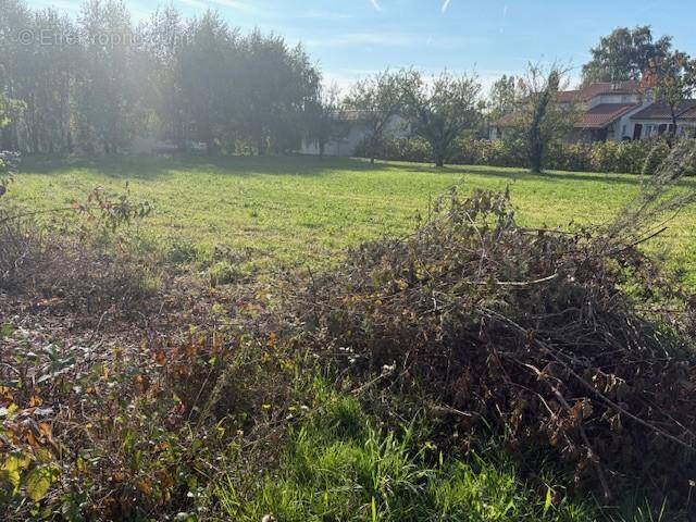 Terrain à SAINT-REMY