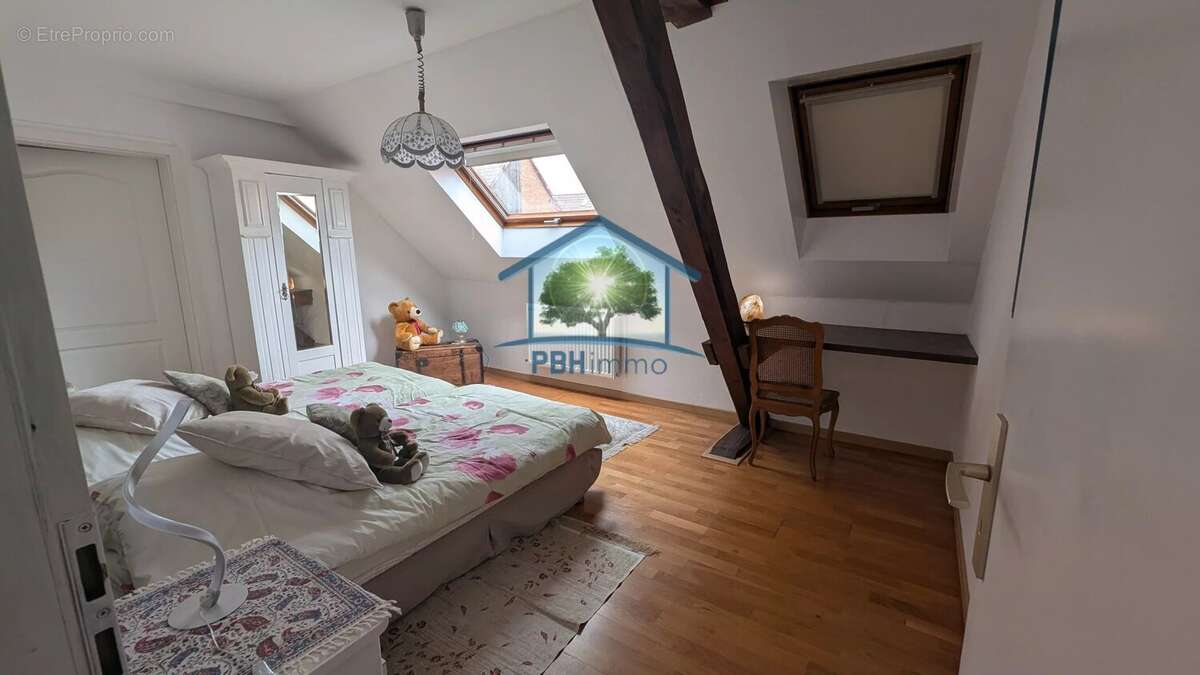 STOTZHEIM (67) -  Maison 11 pièces  250 m², studio indépendant, atelier  et plus de 800m2 de dépendances - photo 11