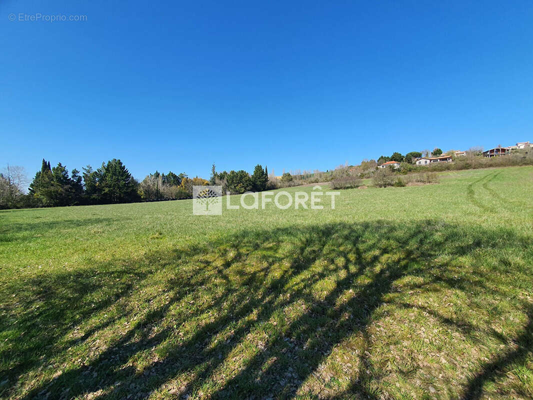 Terrain à VILLEMUR-SUR-TARN