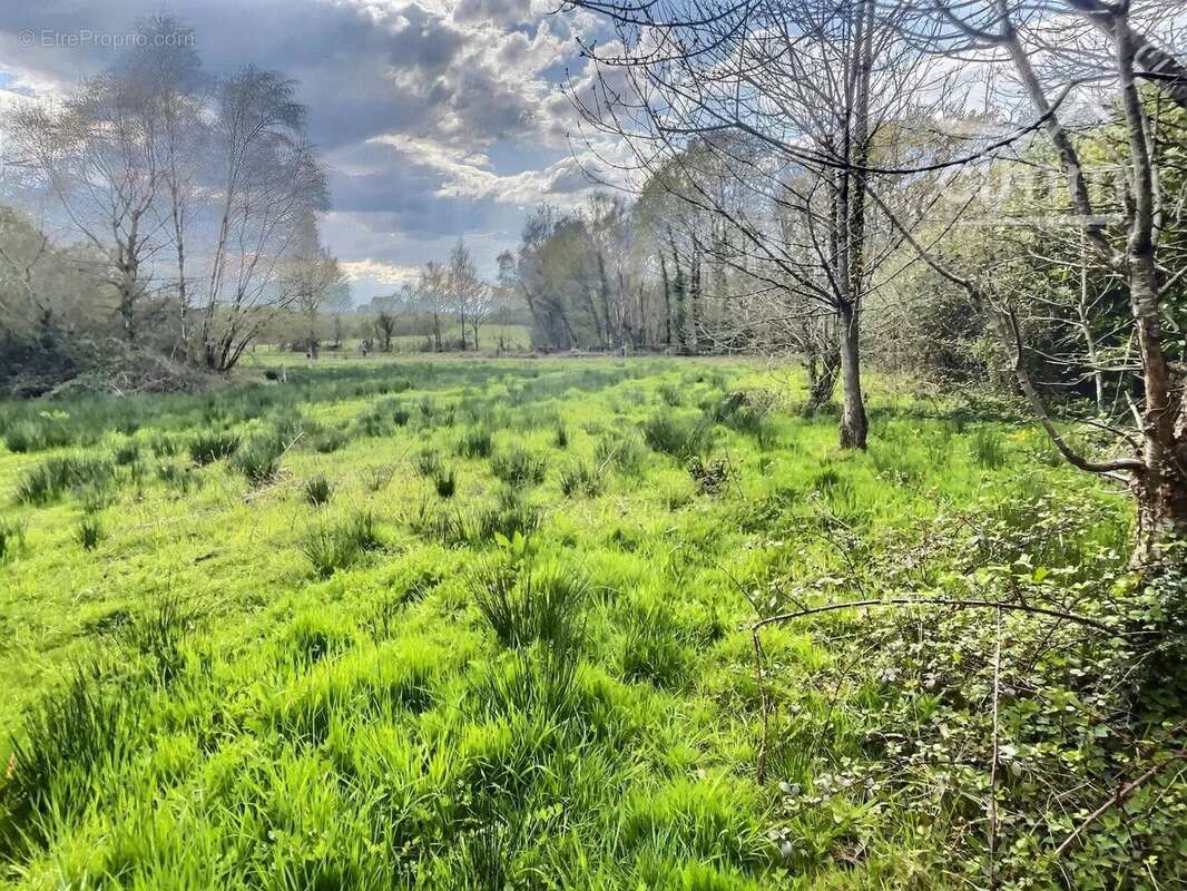 Terrain à NOZAY