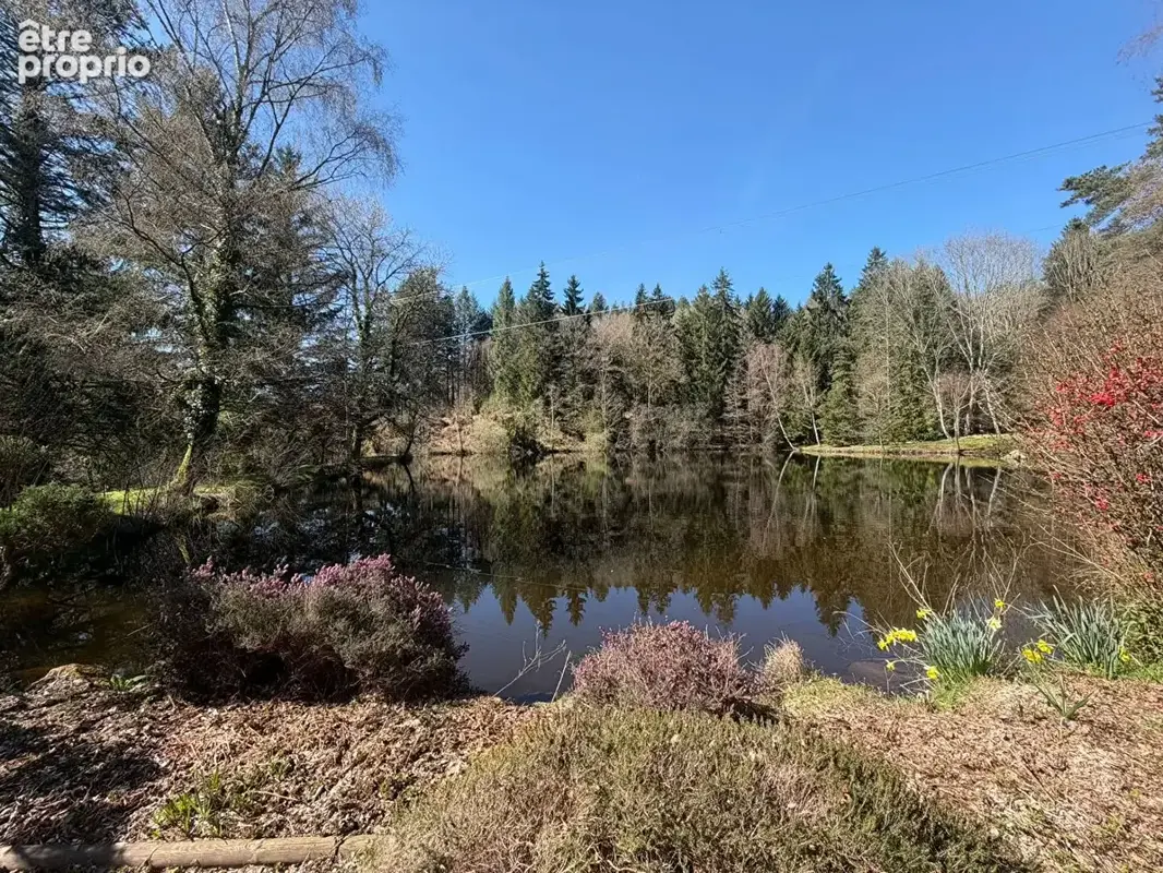 Propriété de 11 hectares avec maison, dépendance, et 2 étangs, entourée de bois. - photo 15