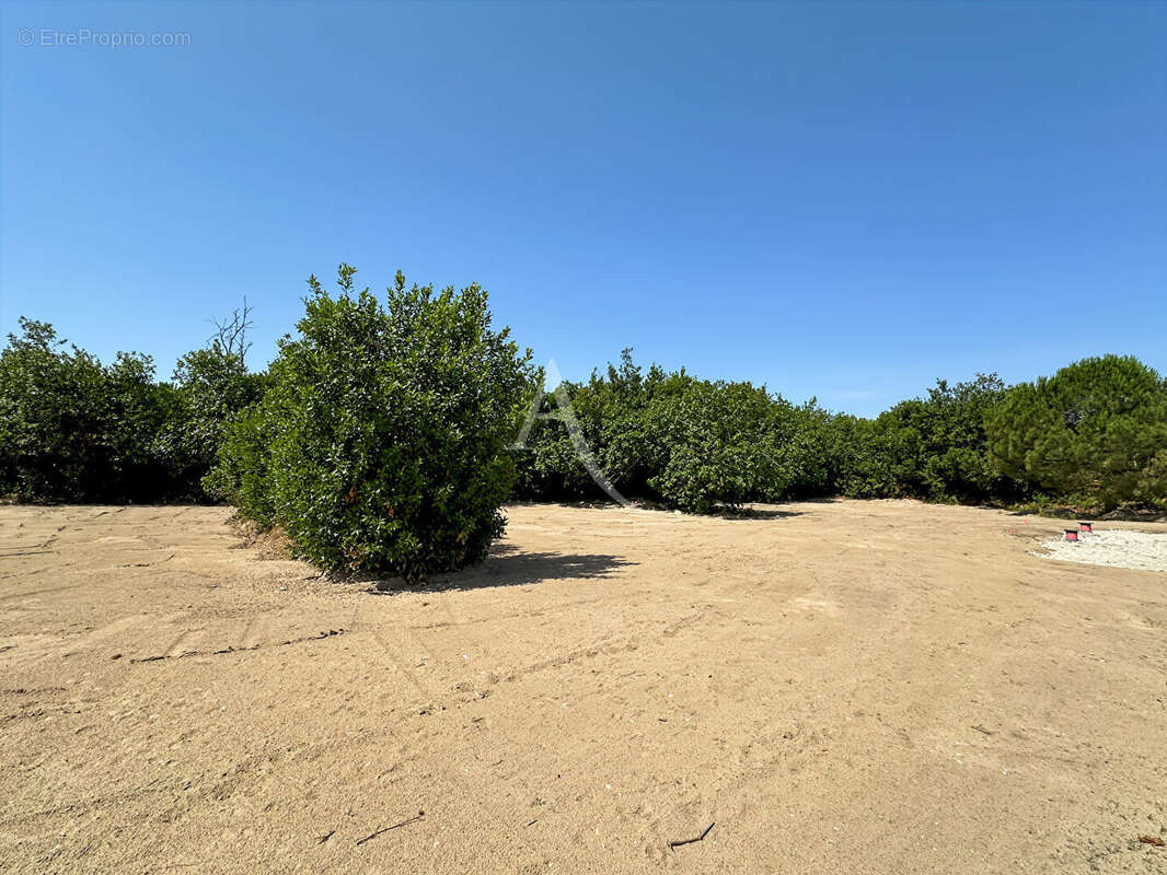 Terrain Saint Jean De Monts 426 m2 - photo 4