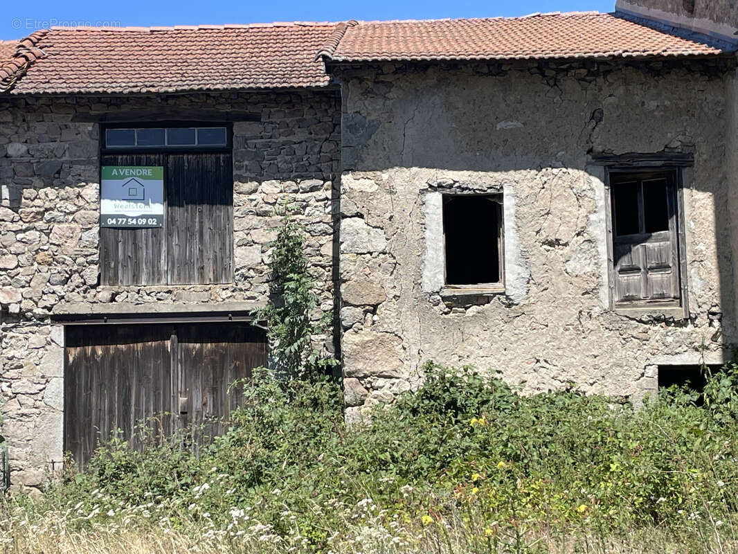 Maison en pierre avec exterieur - photo 16