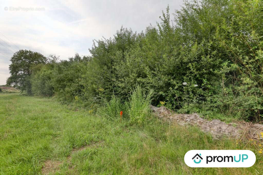 Terrain à SAINT-MARS-LA-BRIERE