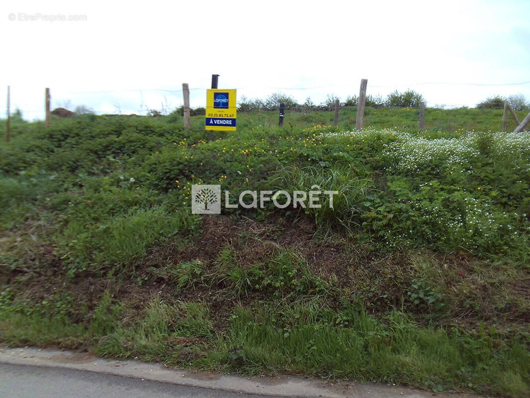 Terrain à CAMPAGNE-LES-HESDIN