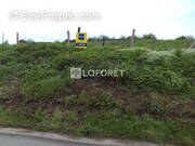 Terrain à CAMPAGNE-LES-HESDIN