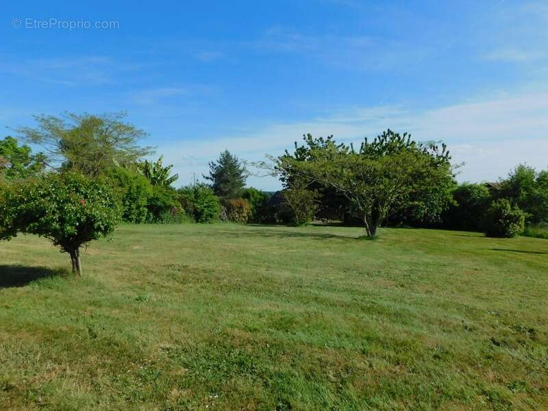 Maison à LA CHAPELLE-JANSON