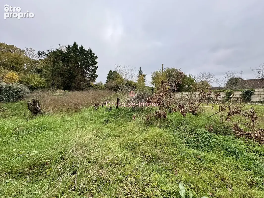 Terrain 2 449 m² à vendre à Amilly (45200) - photo 6