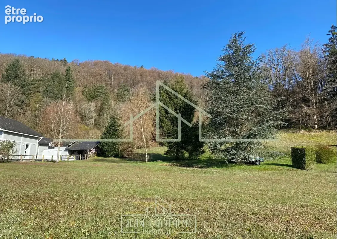 Terrain constructible - Saint-Nabord - 1534 m2 - photo 4