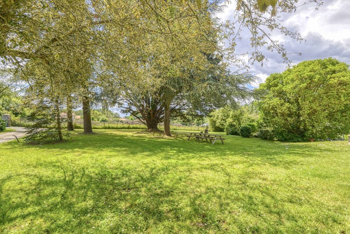 Maison à MAUVES-SUR-LOIRE