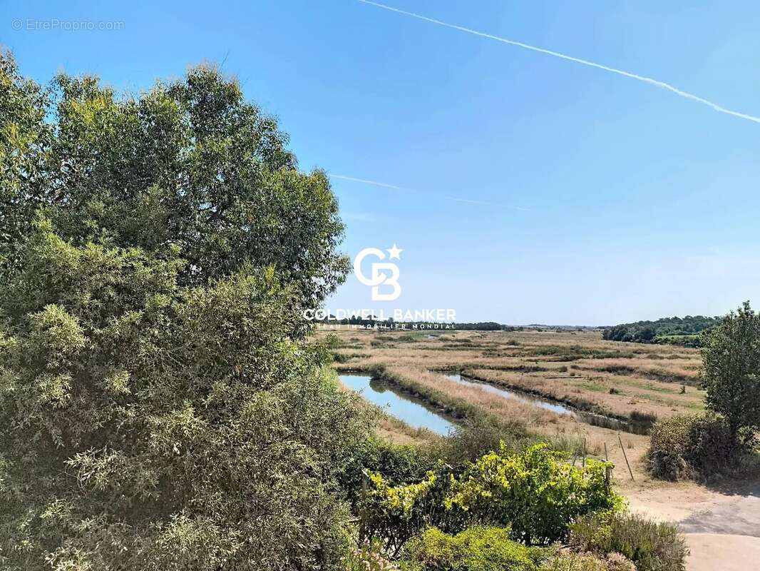 Talmont saint hilaire - l'éloge de la nature & l'art de vivre au fil des marées - photo 2
