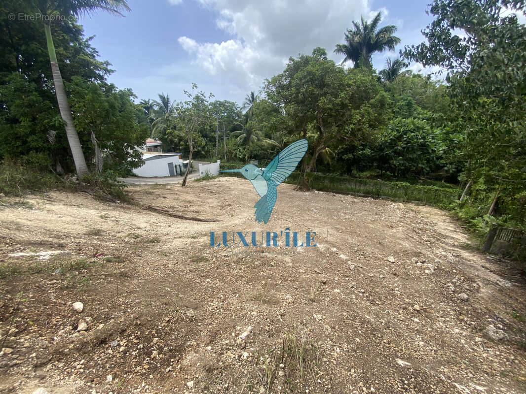 Terrain constructible de 1 223 m2   Plat, viabilisé et clôturé - photo 5