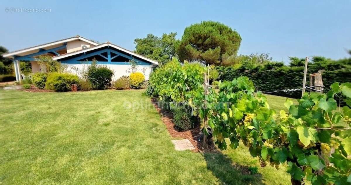  Maison à ossature bois, elle est faite pour vous !  - photo 17