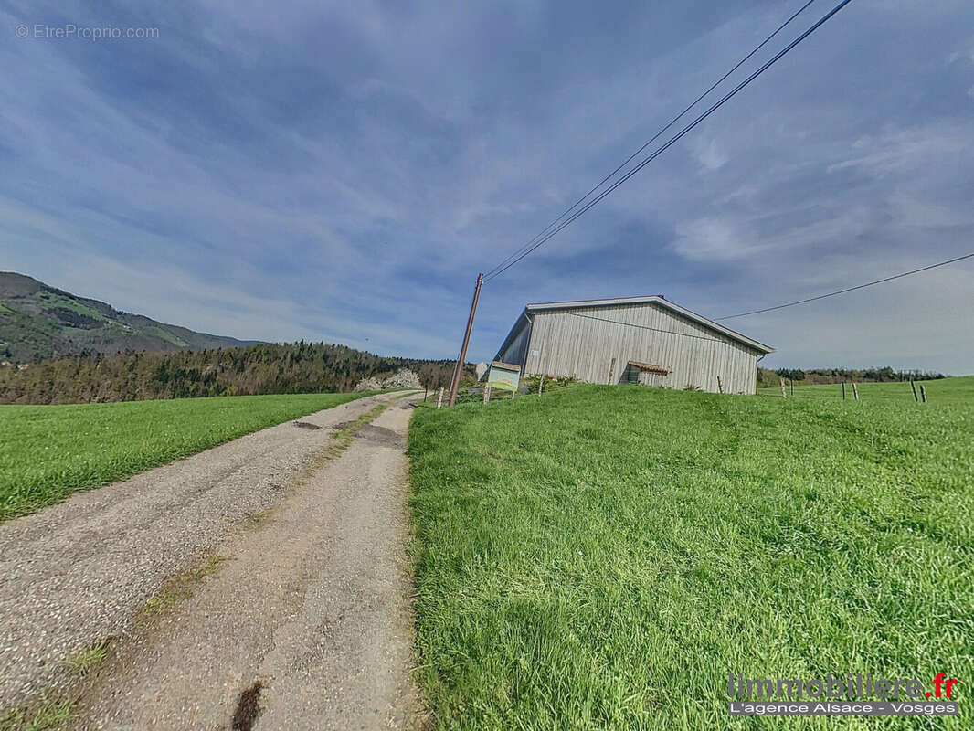 Maison à SAINTE-MARIE-AUX-MINES