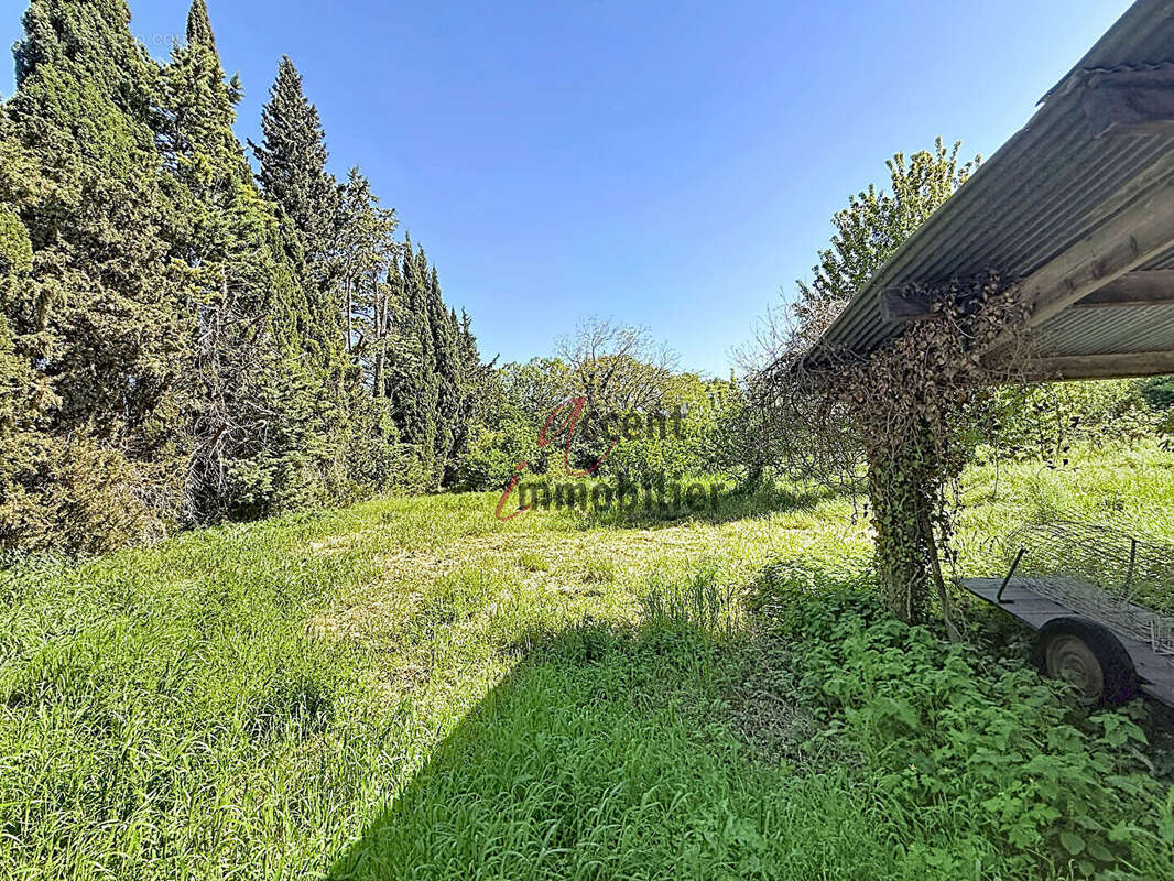 Cabannes : Mas en campagne comprenant deux logements - photo 17
