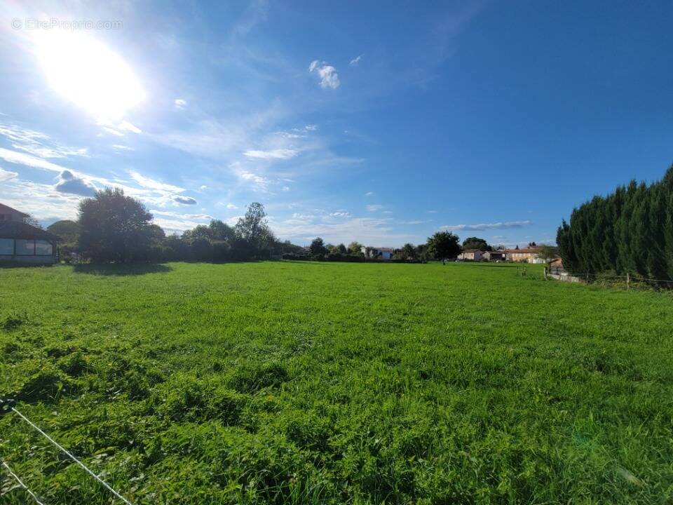 Terrain à VALENTINE