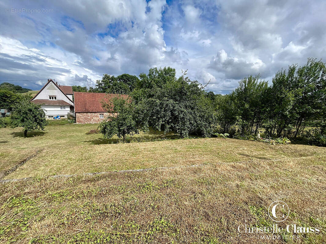 Terrain 586 m² - photo 2