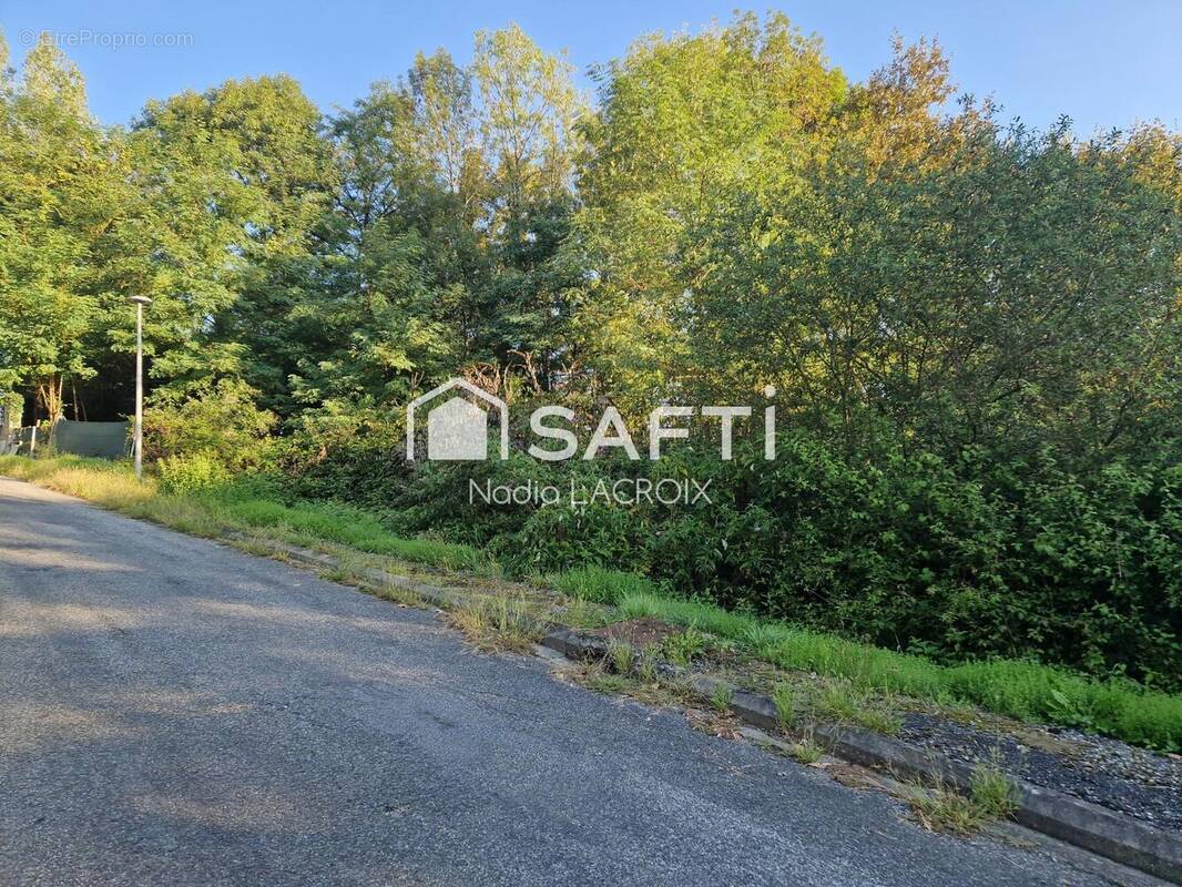 Photo 1 - Terrain à MANE