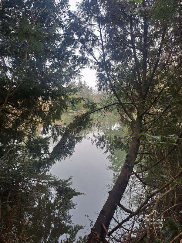 Commerce à MEZIERES-SUR-OISE